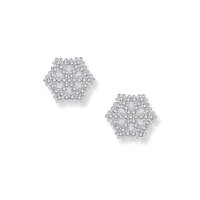 Flake Snowflake Earrings