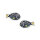 Dory Fish Earrings